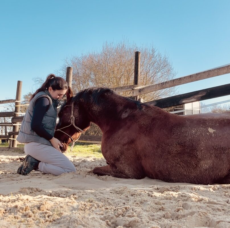 communication animale responsabilites